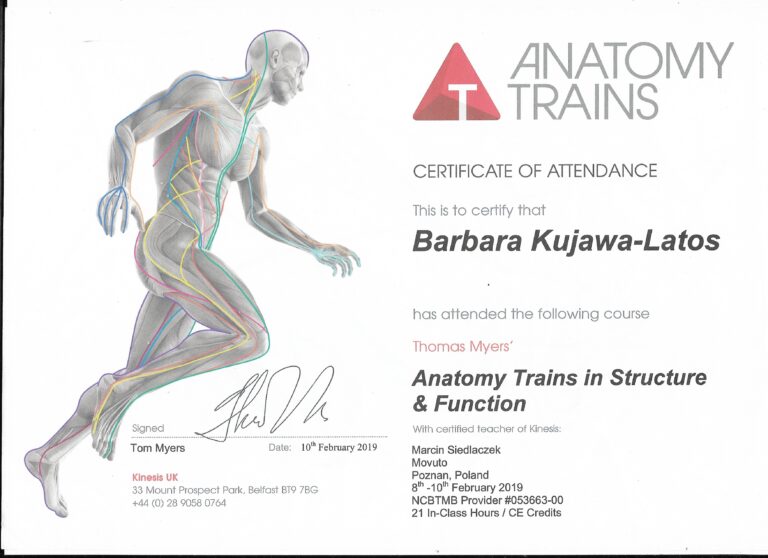 anatomy trains
